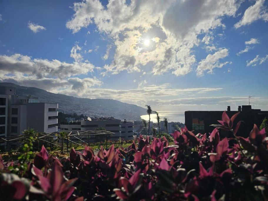 Zukiryo Seaside - New Apartment Pool Wifi Ac Funchal  Exterior foto